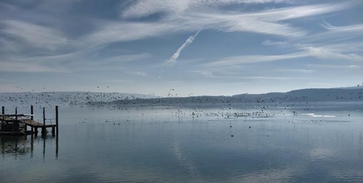 Strandcafe Mettnau